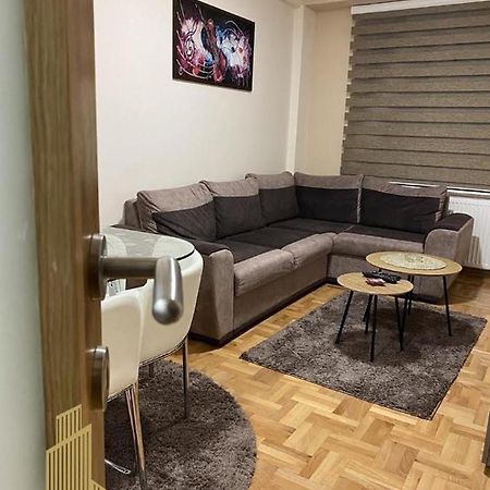 Mirkovic Lux Apartman Ni エクステリア 写真