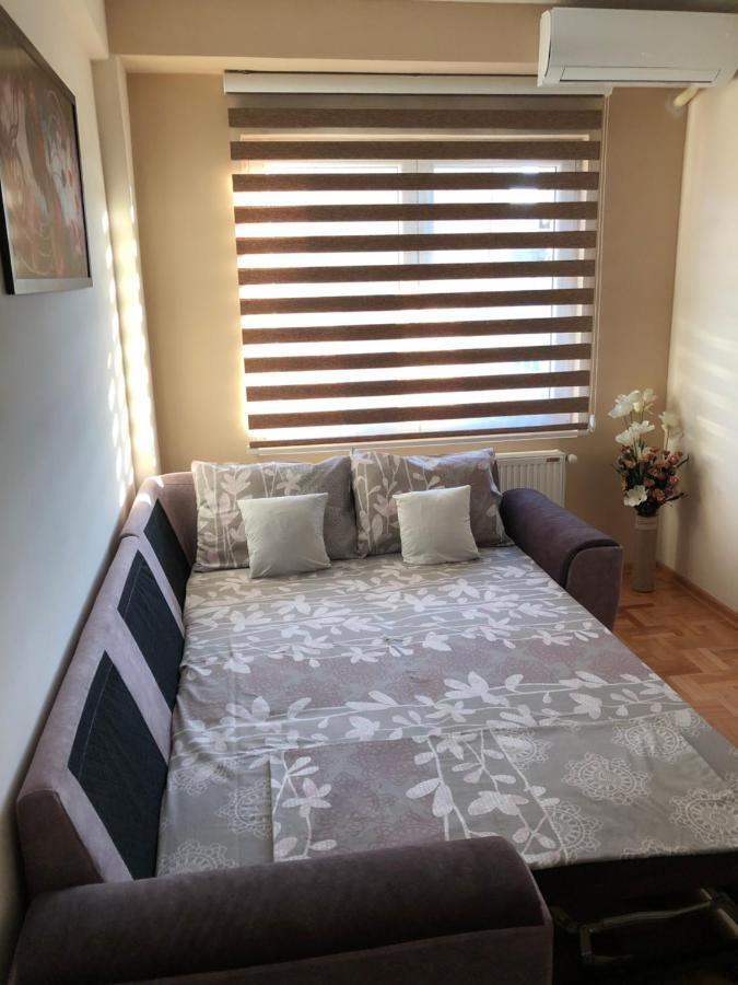 Mirkovic Lux Apartman Ni エクステリア 写真